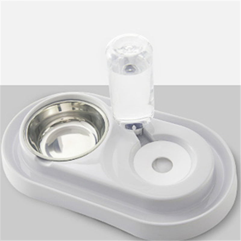 Dog Bowl