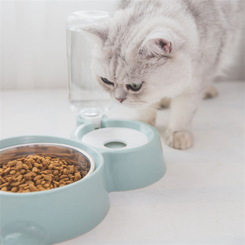 Dog Bowl